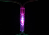 220V led products,led String Lights 6,
2-6,
KARNAR INTERNATIONAL GROUP LTD