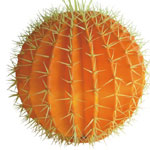 tree light,CACTUS LIGHT,Ball Type 2,
B2,
KARNAR INTERNATIONAL GROUP LTD