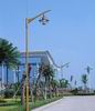 led tree lighting,ROAD LIGHT,Product-List 13,
Road-Light-010-Small,
KARNAR INTERNATIONAL GROUP LTD led tree lighting,ROAD LIGHT,Product-List 13,
Road-Light-010-Small,
KARNAR INTERNATIONAL GROUP LTD