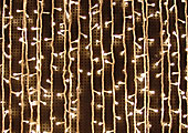 Geleid decoratief licht,LED gordijnlicht 1,
2-1,
KARNAR INTERNATIONAL GROUP LTD