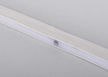 LED dmx灯,带领色带,12V直流LED霓虹灯柔光灯 4,
ri-1,
卡尔纳国际集团有限公司