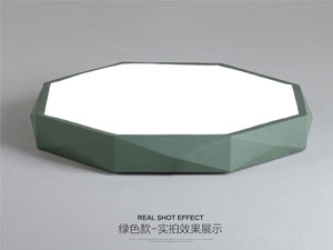 Guangdong led factory,LED project,12W Three-dimensional shape led ceiling light 4,
green,
KARNAR INTERNATIONAL GROUP LTD