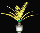 Lumière de cocotier LED
KARNAR INTERNATIONAL GROUP LTD