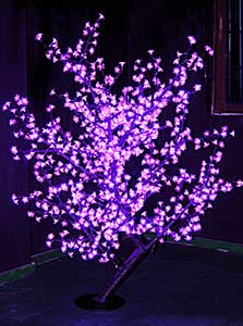 Lampu cherry LED
KARNAR INTERNATIONAL GROUP LTD