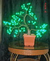 LED svjetlo trešnje
KARNAR INTERNATIONAL GROUP LTD