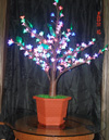 LED-kerslig
KARNAR INTERNATIONAL GROUP LTD